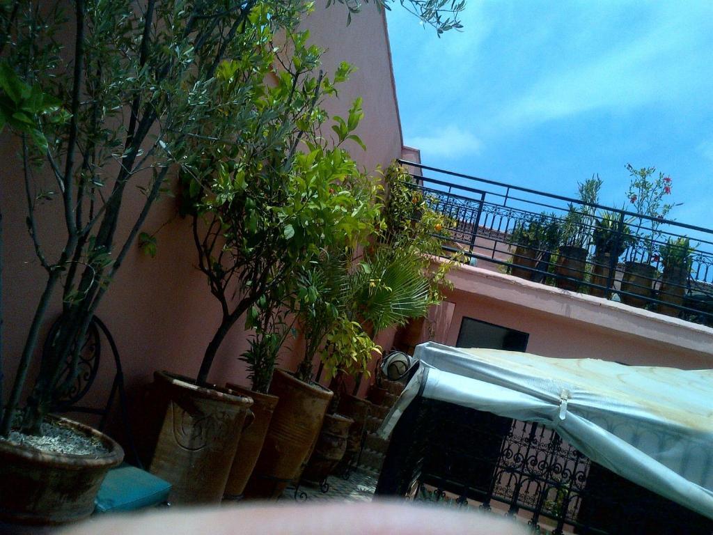 מרקש Riad Lila מראה חיצוני תמונה