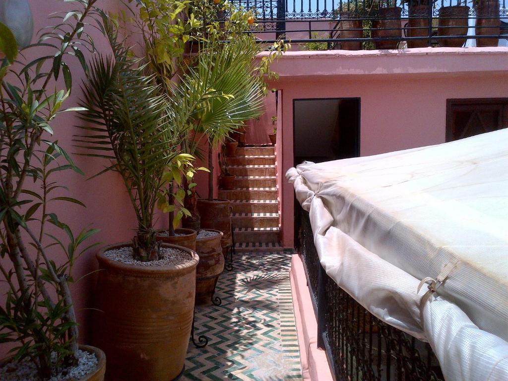 מרקש Riad Lila מראה חיצוני תמונה