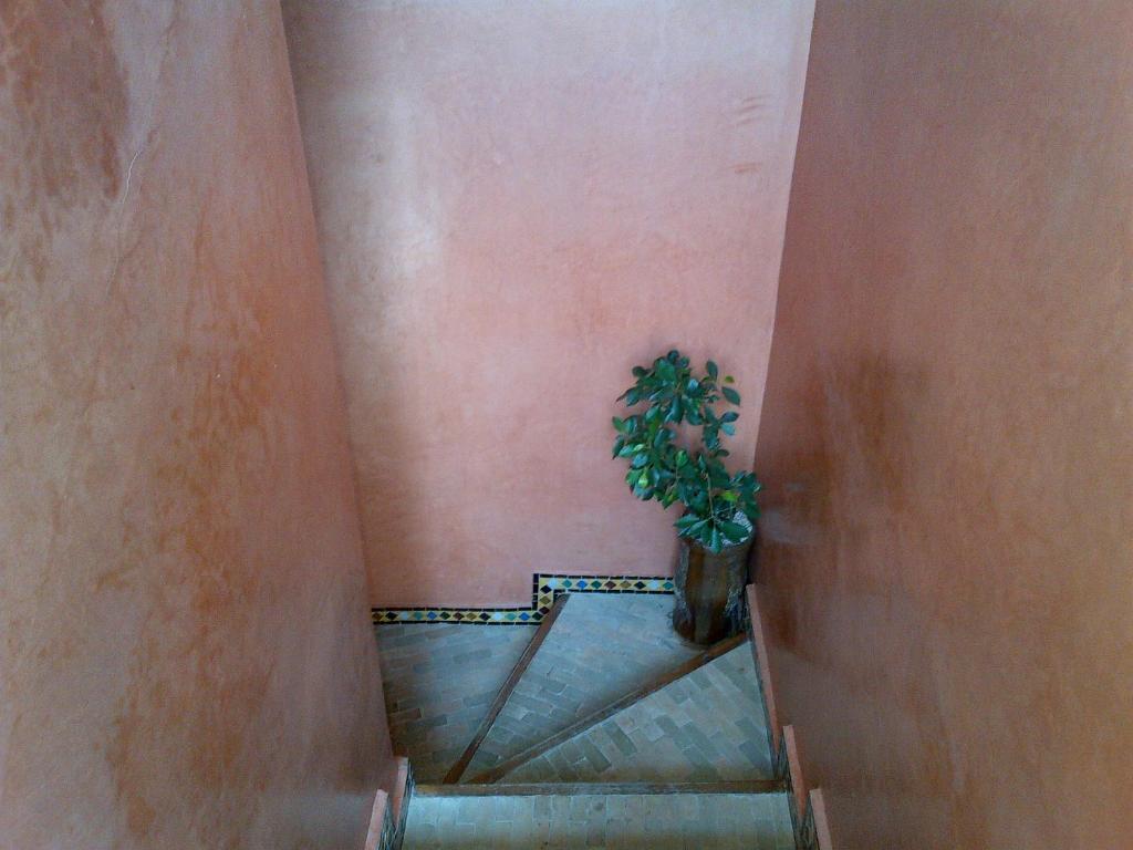 מרקש Riad Lila מראה חיצוני תמונה